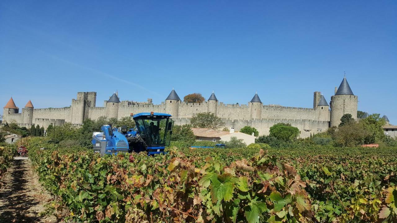 Domaine Fontgrande Gite Carcassonne Esterno foto